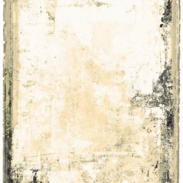 Grunge Dilapidated Photography Background White Grey Backdrops