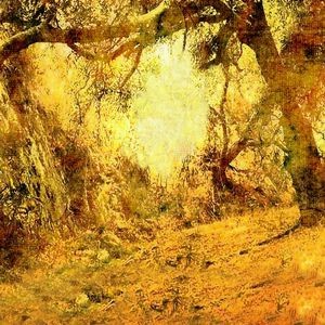 Oil Painting Photography Background Jungle Sunshine Autumn Backdrops