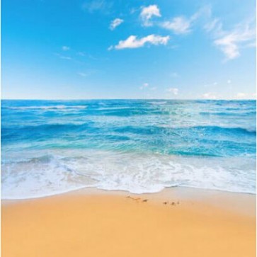 Beach Photography Background Blue Sky Waves Backdrops
