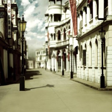 Street View Photography Background White House Alley Backdrops