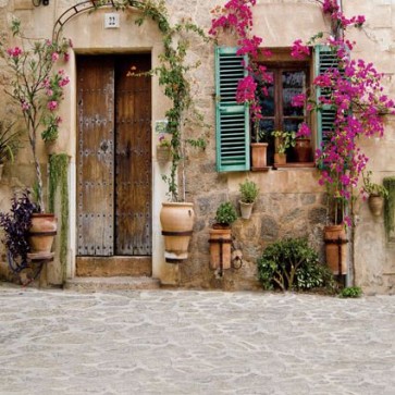 Door Window Photography Backdrops Brown Door Purple Flowers Blue Window Background