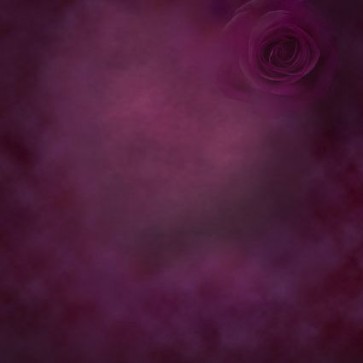 Photography Backdrops Fuchsia Rose Old Master Background Photo Studio