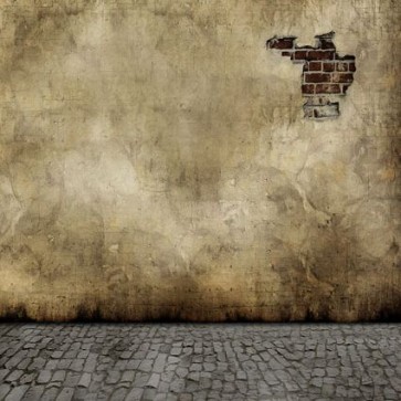 Photography Backdrops Crevasse Crack Grey Wall Grunge Dilapidated Background