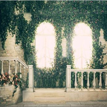 Wedding Photography Backdrops Window Green Plants Background For Party