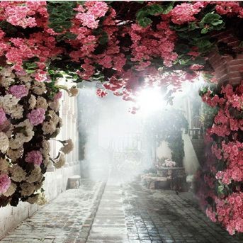 Flowers Photography Background Pink Rose Door Backdrops For Wedding