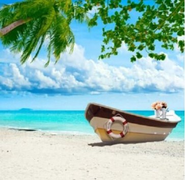 Beach Photography Background Ship Coconut Tree White Clouds Backdrops