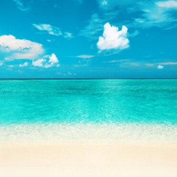 Beach Photography Background Blue Ocean Blue Sky Backdrops