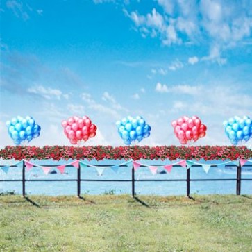 Valentine's Day Photography Background Balloon Blue Sky Flowers Backdrops