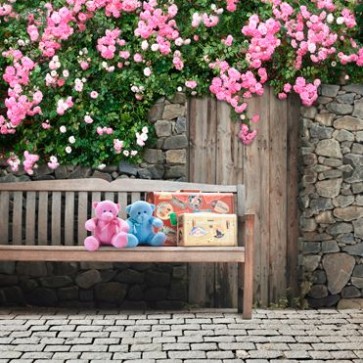 Door Window Photography Backdrops Pink Rose Flower Brown Wooden Door Background