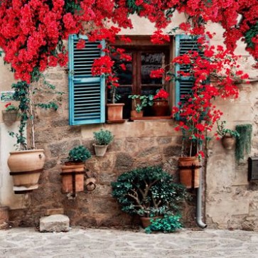 Door Window Photography Backdrops Red Flowers Blue Door Brick Wall Background