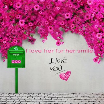 Valentine's Day Photography Background Pink Flowers Green Mailbox White Wall Backdrops