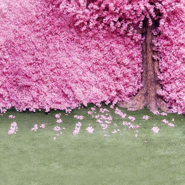 Flowers Photography Background Pink Cherry Blossom Tree Backdrops