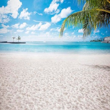 Photography Backdrops Seaside Coconut Tree Beach Background