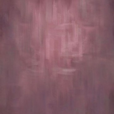 Photography Backdrops Pink Hazy Printing Old Master Background
