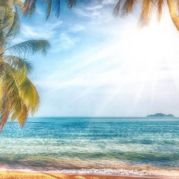 Beach Photography Backdrops Blue Sky Sunlight Background