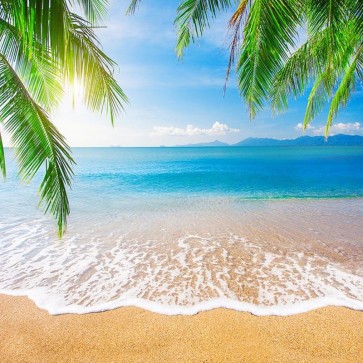 Beach Photography Backdrops Coconut Tree Leaves Blue Sky Background