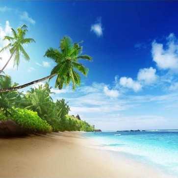 Beach Photography Backdrops Blue Sky Island Coconut Tree Background