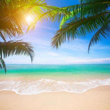 Beach Photography Backdrops Coconut Tree Blue Sky Sunlight Background