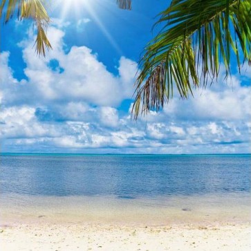 Beach Photography Backdrops White Clouds Coconut Tree Leaves Blue Sky Background