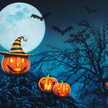 Photography Background Pumpkin Lantern Bat Dead Tree Halloween Backdrops
