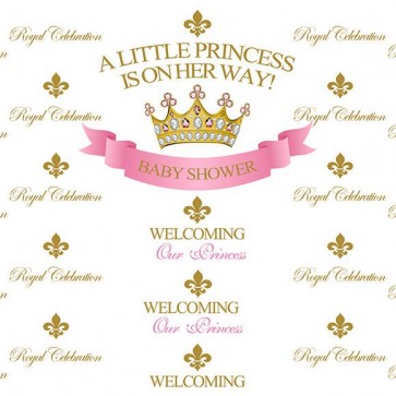 Baby Shower Photography Backdrops Little Princess Background For Newborn