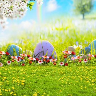Photography Backdrops Flowers Rainbow Easter Grass Background