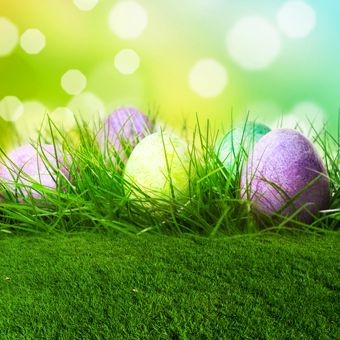 Photography Backdrops Grass Eggs Easter Fuzzy Background For Photo Studio