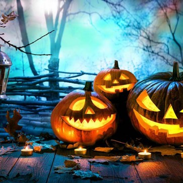 Photography Background Pumpkin Lantern Tree Halloween Backdrops