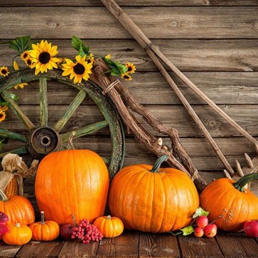 Thanksgiving Day Photography Backdrops Pumpkin Wheel Wood Wall Background