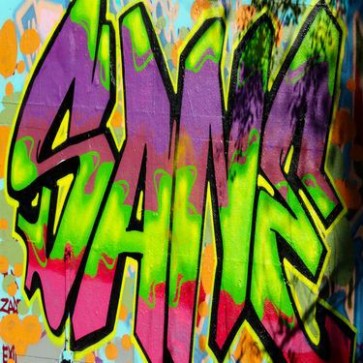 Graffiti Photography Backdrops Sane White Wall Background For Photo Studio