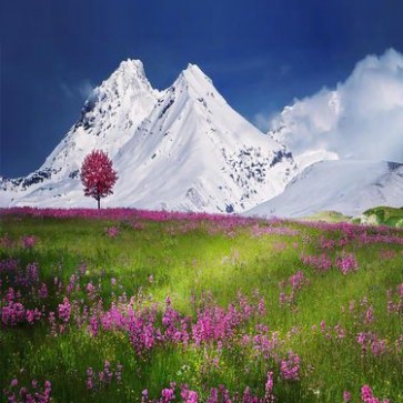 Nature Photography Backdrops Purple lavender Snow Mountain Blue Sky Background