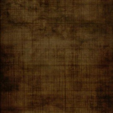 Photography Backdrops Brown Smog And Checked Lines Old Master Background