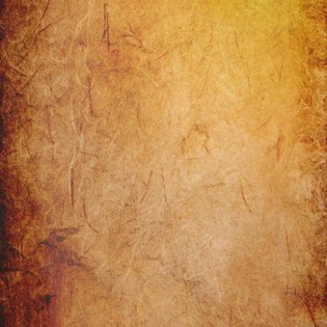 Photography Backdrops Golden Pattern Grain Old Master Background