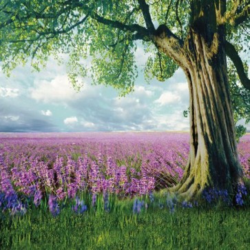 Nature Photography Backdrops Lavender Big Banyan Tree Background