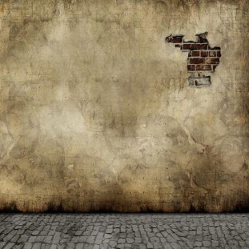 Photography Background Crevasse Crack Wall Grunge Dilapidated Backdrops