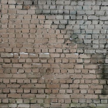 Photography Backdrops Grey Not Flat Brick Wall Background