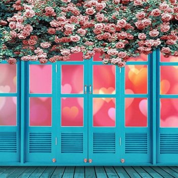 Door Window Photography Backdrops Pink Rose Flower Blue Door Background