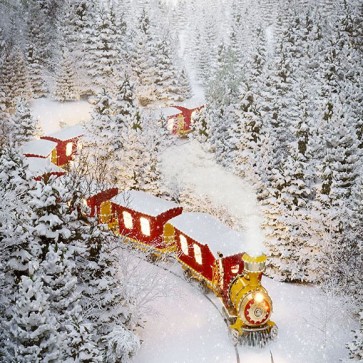 Christmas Photography Backdrops Christmas Small Train Snow Jungle Background