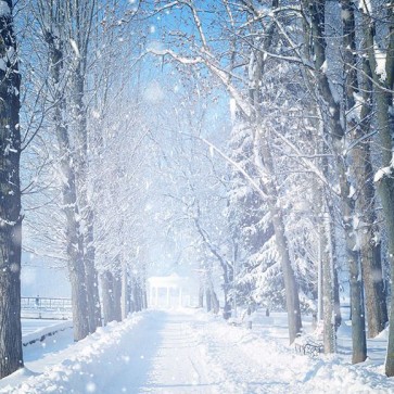 Christmas Photography Backdrops Snowflakes Snow Trees Blue Sky Background