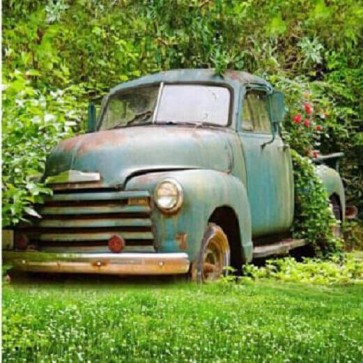 Photography Backdrops Dilapidated Car Green Vegetation Background