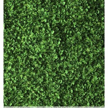 Photography Background Ivy Green vegetation Wall Backdrops