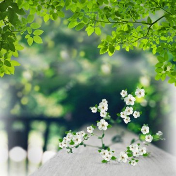 Nature Photography Backdrops White Flowers White Fence Background