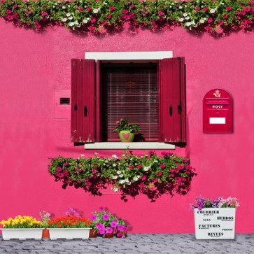 Door Window Photography Backdrops Pink Wall Flowers Red Window Background