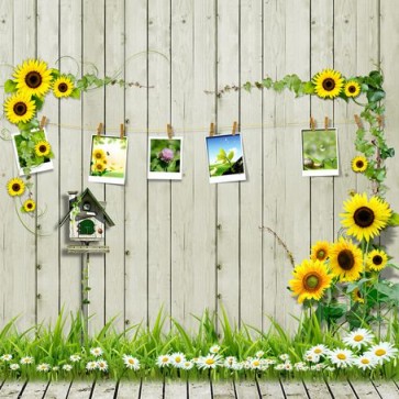 Photography Background Sunflower White Flowers Wood Floor Backdrops
