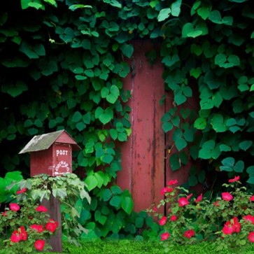 Door Window Photography Backdrops Brown Wooden Door Green Leaves Background