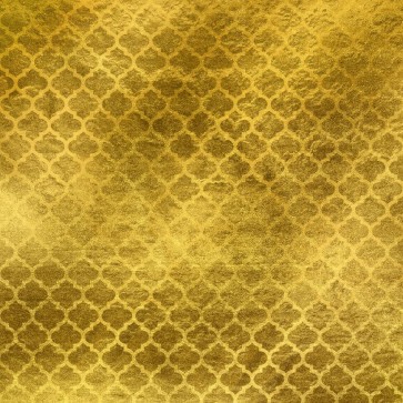 Golden Reticulate Photography Background Texture Style Backdrops For Photo Studio