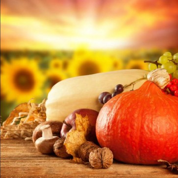 Thanksgiving Day Photography Background Walnut Pumpkin Sunflower Backdrops