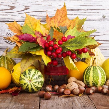 Photography Background Pumpkin Hawthorn Leaves Wood Wall Thanksgiving Day Backdrops