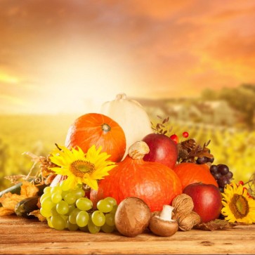 Photography Background Fruit Pumpkin Autumn Thanksgiving Day Backdrops