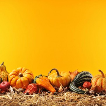 Pumpkin Autumn  Thanksgiving Day Photography Background Orange Backdrops